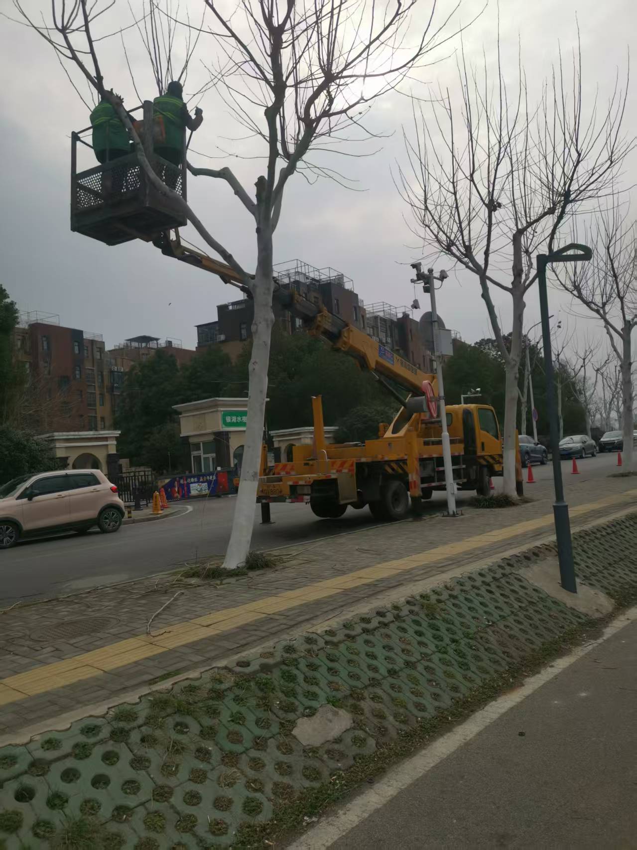 微信圖片_20250221160021.jpg